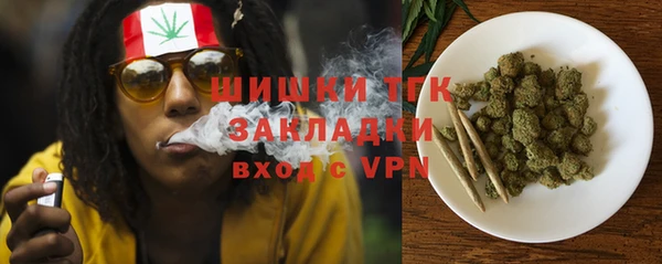 прущие грибы Няндома
