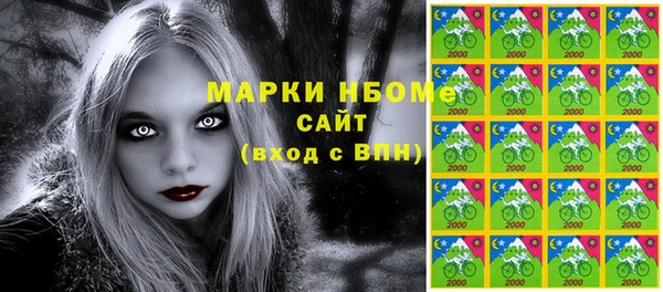 прущие грибы Няндома
