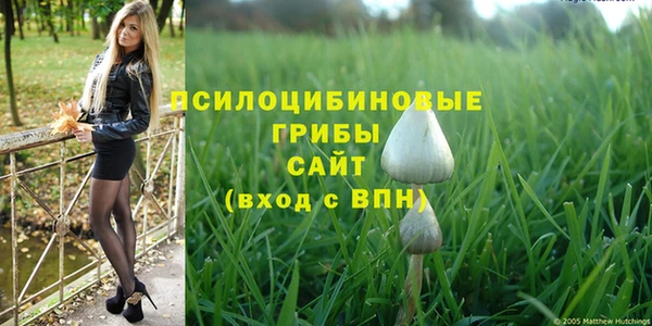 сатива Абинск