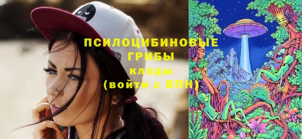 сатива Абинск