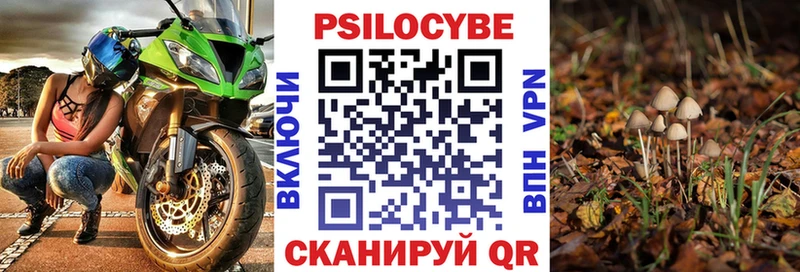 Галлюциногенные грибы GOLDEN TEACHER  купить наркотик  Энем 
